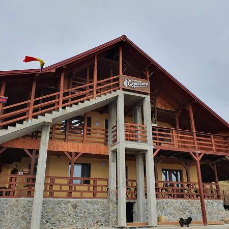 Agropensiunea Caprioara Mintia المظهر الخارجي الصورة